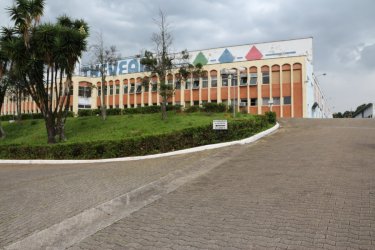 Foto 19