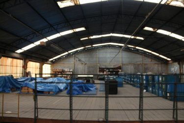 Foto 44