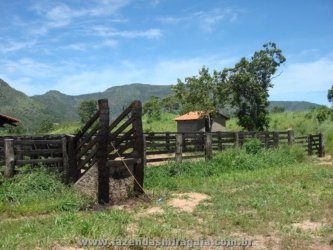 Fazenda para Venda por R$16.000.000,00 - Monte alegre, Goiania / GO - Foto 3