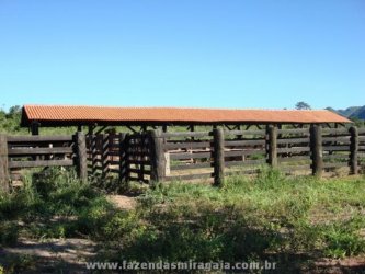 Fazenda para Venda por R$16.000.000,00 - Monte alegre, Goiania / GO