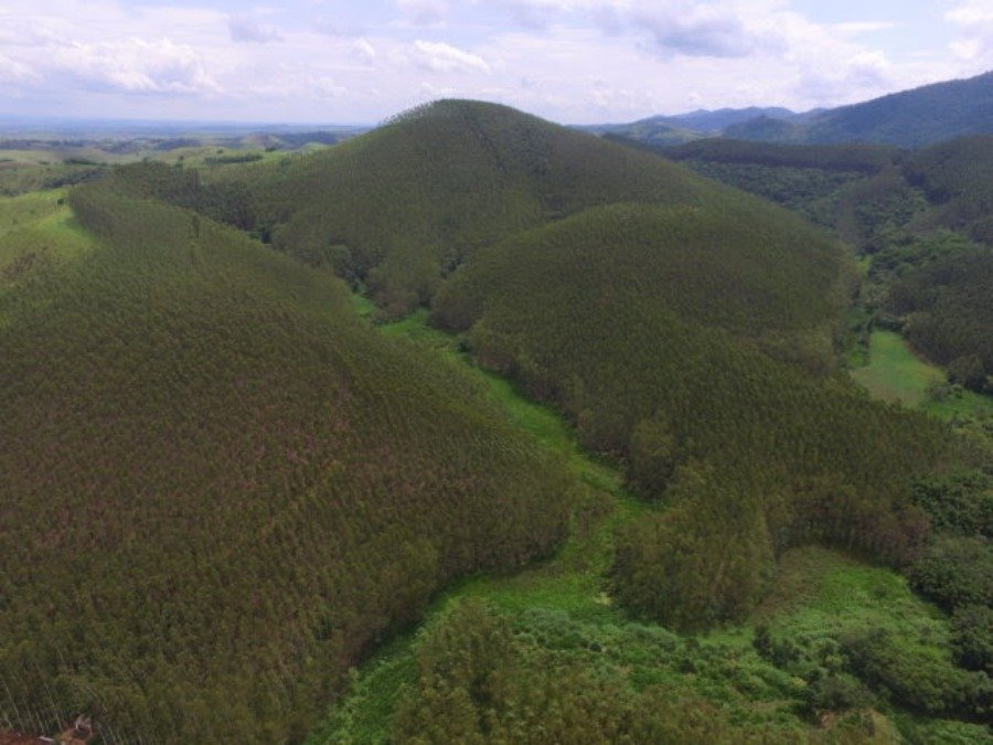 Fazenda à venda com 1 quarto, 120m² - Foto 7