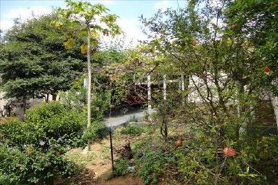 Casa para Venda por R$550.000,00 - Parque cruzeiro do sul , São paulo / SP