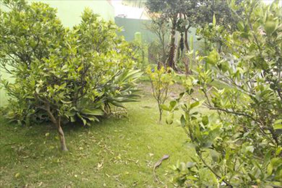 Casa para Venda por R$1.500.000,00 e Aluguel á R$7.500,00/Mês - Jardim alto pedroso , São paulo / SP