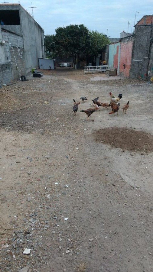 Terreno para Venda por R$330.000,00 - Jardim helena , São paulo / SP