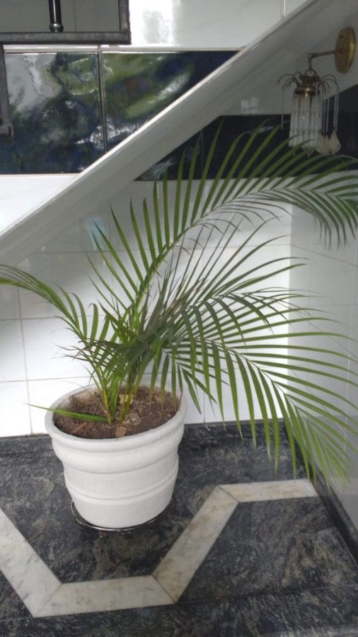 Casa, 4 quartos, 540 m² - Foto 10