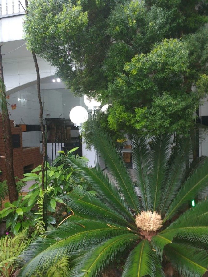 Casa, 4 quartos, 540 m² - Foto 7