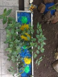 Foto 19