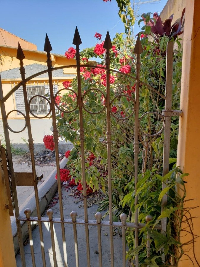 Casa, 3 quartos, 120 m² - Foto 4