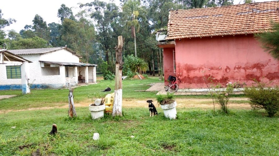 Terreno à venda com 1 quarto, 6000m² - Foto 5