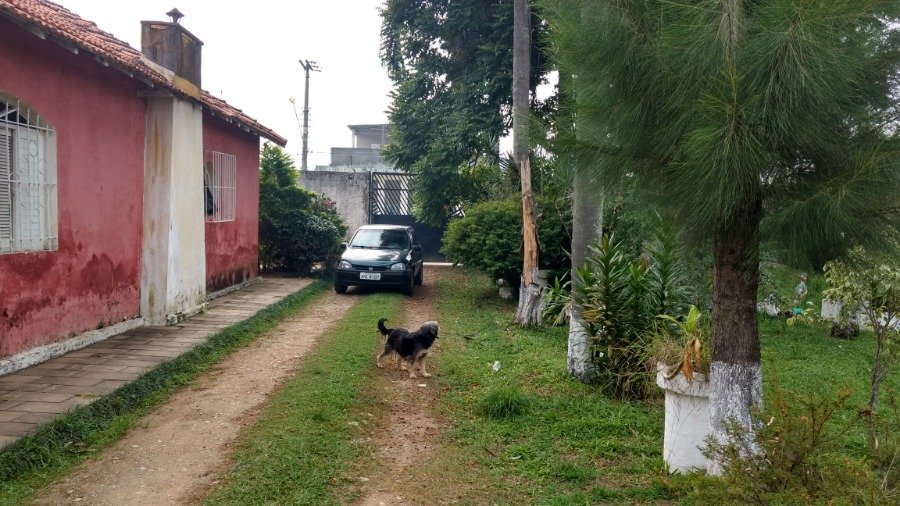 Terreno à venda com 1 quarto, 6000m² - Foto 7