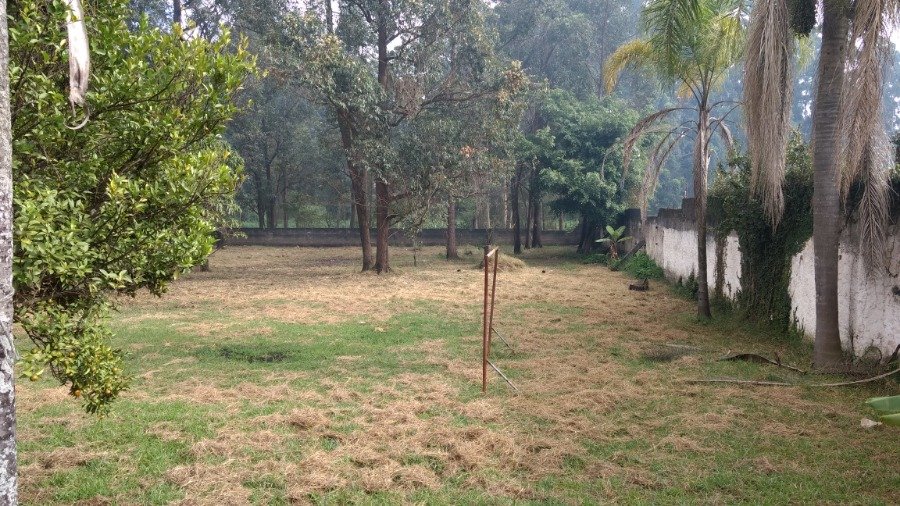 Terreno à venda com 1 quarto, 6000m² - Foto 9