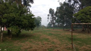 Foto 12