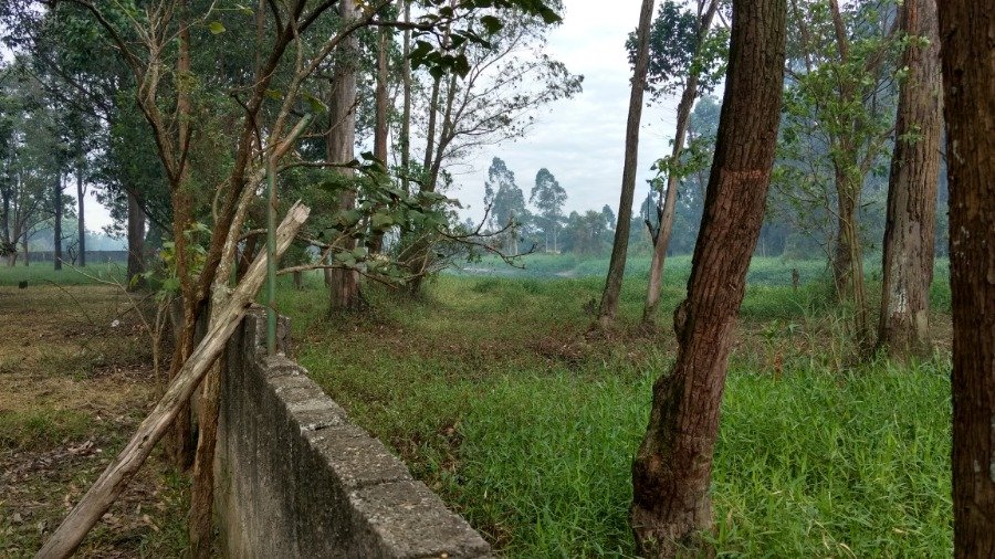 Terreno à venda com 1 quarto, 6000m² - Foto 14