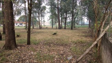 Foto 17