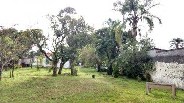 Foto 31