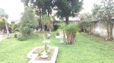 Foto 37