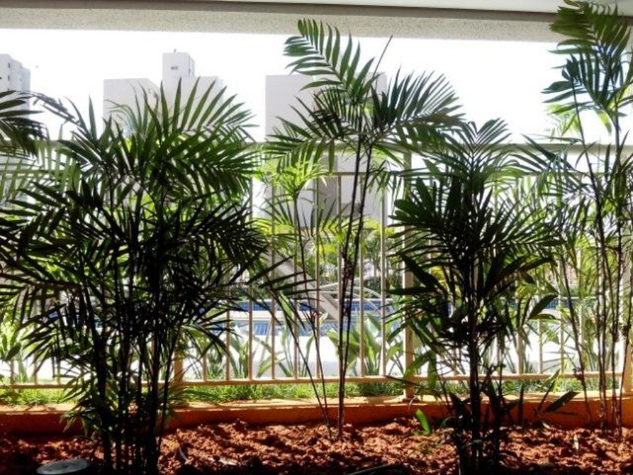 Apartamento para Venda por R$500.000,00 - Belenzinho, São paulo / SP