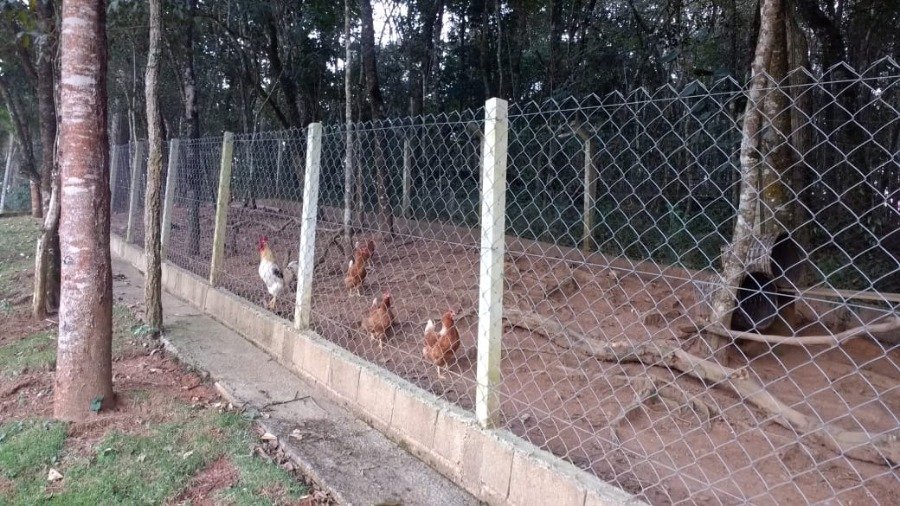 Chácara para Venda por R$495.000,00 - Vila conde do pinhal, Pinhalzinho / SP