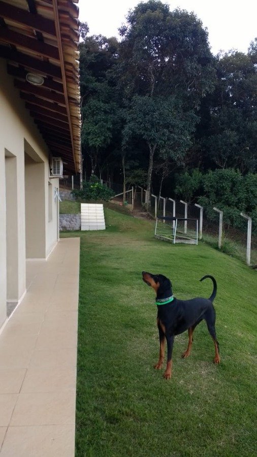 Chácara para Venda por R$495.000,00 - Vila conde do pinhal, Pinhalzinho / SP
