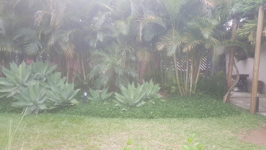 Terreno, 120 m² - Foto 4
