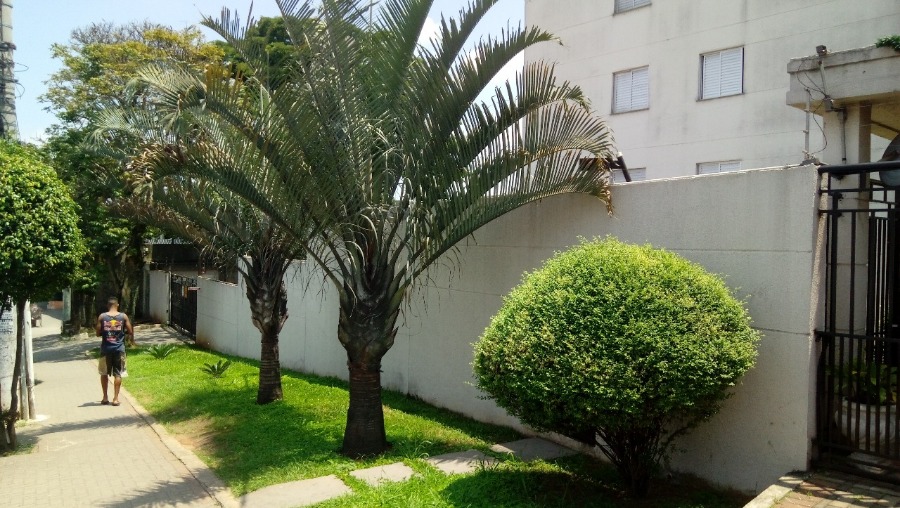 Apartamento para Venda por R$190.000,00 - Itaim paulista, São paulo / SP
