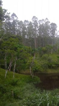 Foto 42
