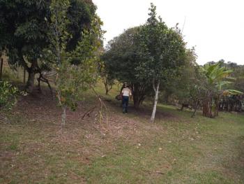 Foto 47