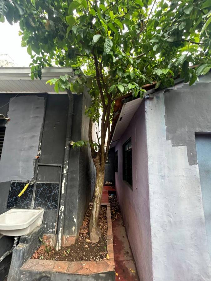 Terreno, 120 m² - Foto 15