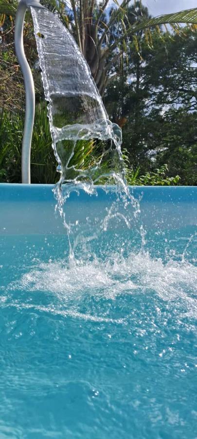 Chácara, 1 quarto, 3100 m² - Foto 3