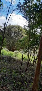 Sítio para Venda por R$1.575.000,00 com 372300m² - Quatinga, Mogi das cruzes / SP
