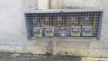 Foto 11