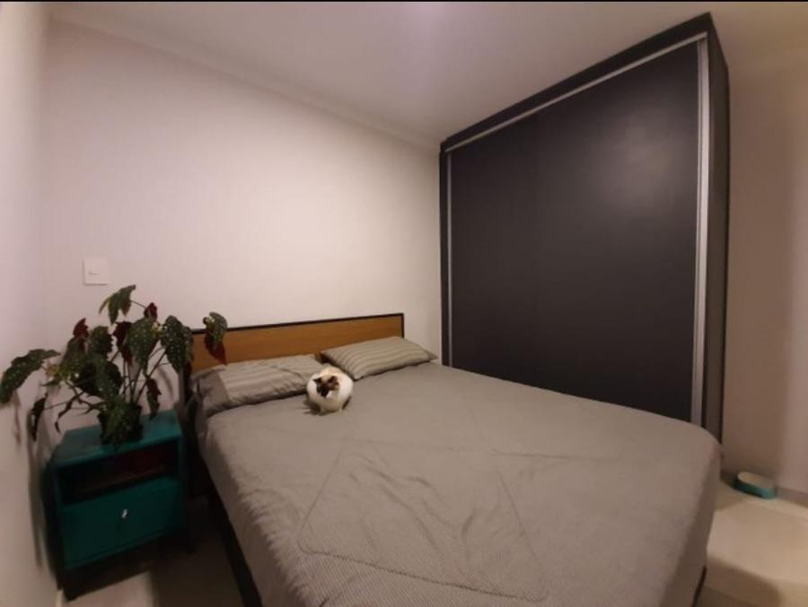 Apartamento à venda com 2 quartos, 55m² - Foto 9