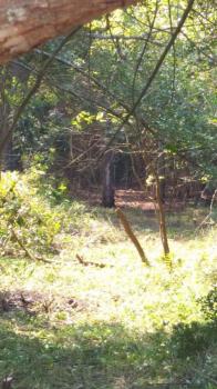 Terreno Comercial para Venda por R$2.600.000,00 com 8608m² - Jardim do rio cotia, Cotia / SP