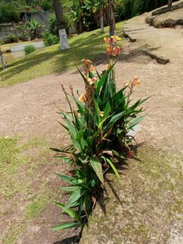 Foto 14