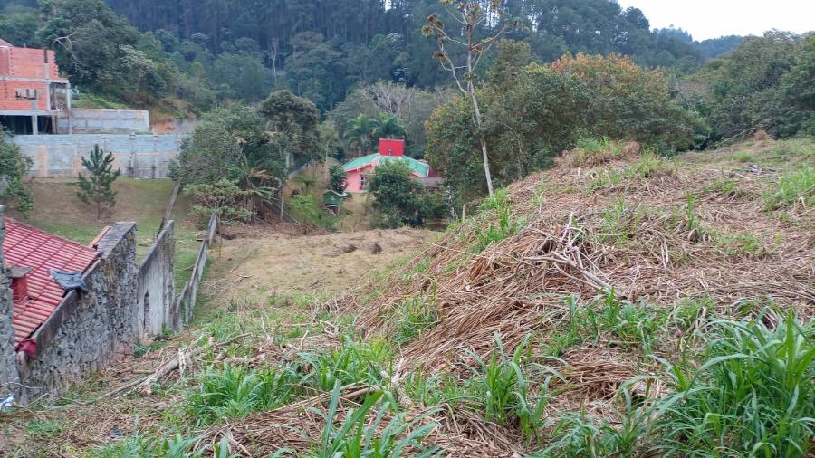 Terreno à venda com 1 quarto, 120m² - Foto 2