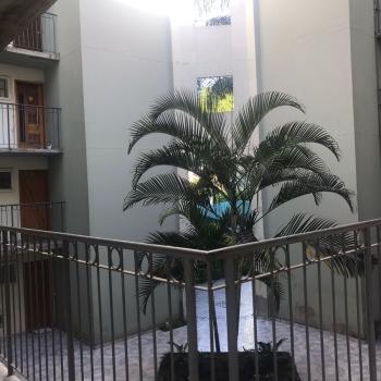 Apartamento para Venda por R$212.000,00 com 49m², 2 dormitórios, 1 vaga e 1 banheiro - Jardim casa pintada, São paulo / SP - Foto 2