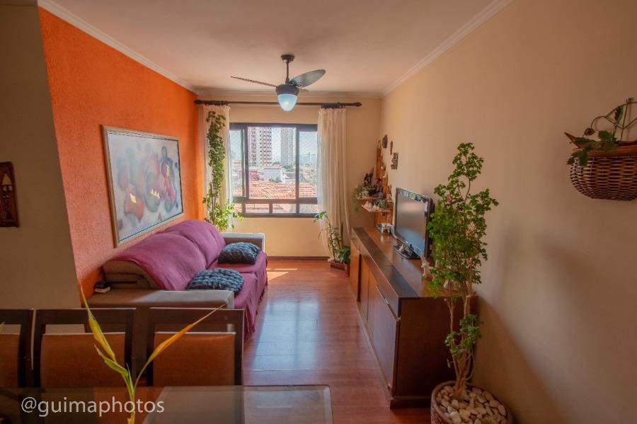 Apartamento à venda com 3 quartos, 58m² - Foto 6