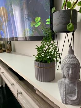 Foto 25