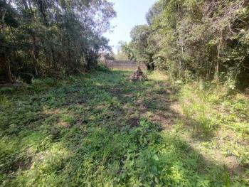 Terreno para Venda por R$50.000,00 com 1133m² - Itanhaém, Itanhaém / SP