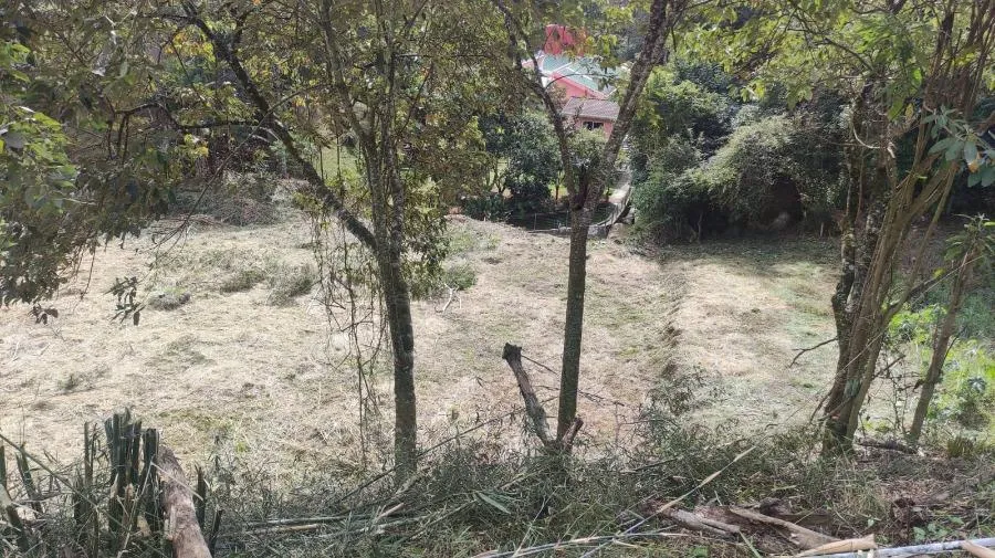 Terrenos