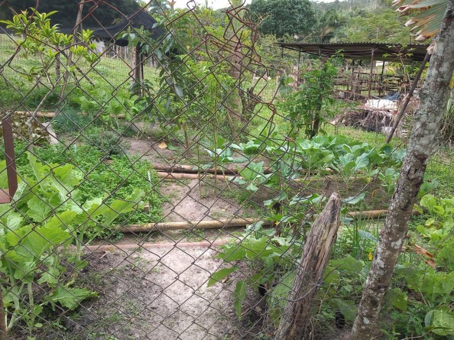 Fazenda à venda com 1 quarto, 120m² - Foto 6