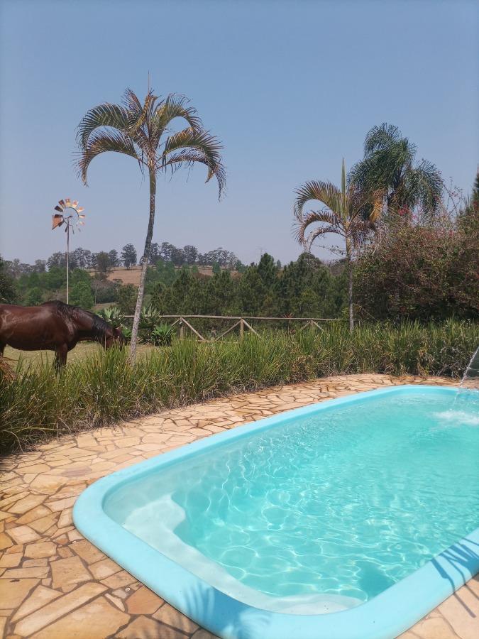 Chácara, 1 quarto, 3100 m² - Foto 8