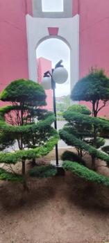Foto 19