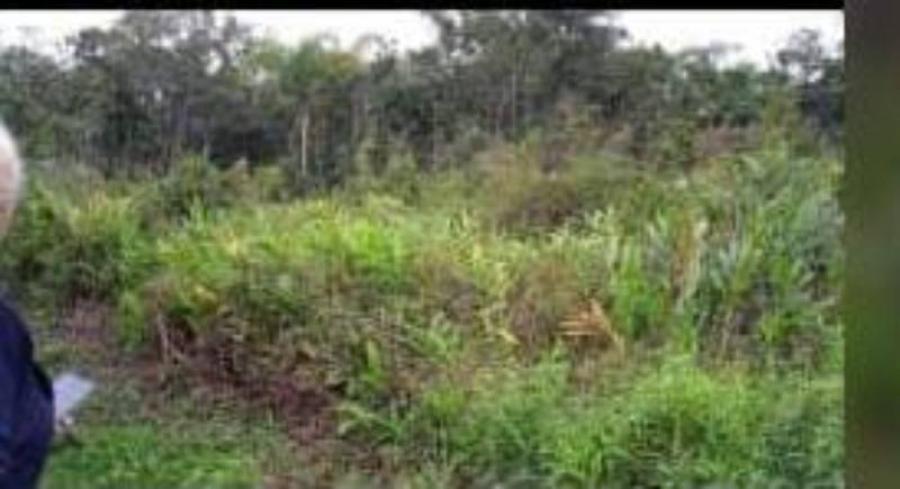 Terreno, 312 m² - Foto 1