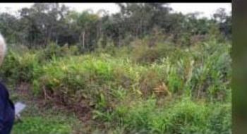 Terreno para Venda por R$50.000,00 com 312m² - Itanhaém , Itanhaém  / SP