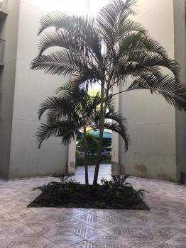 Foto 18