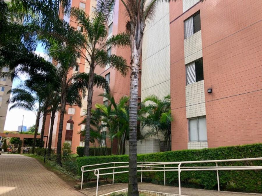 Apartamento à venda com 3 quartos, 61m² - Foto 12