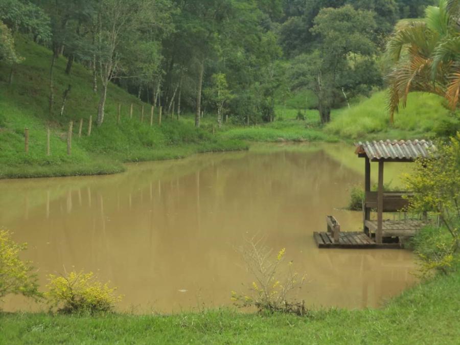 Fazenda à venda com 1 quarto, 867m² - Foto 5