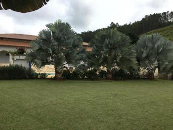 Foto 110
