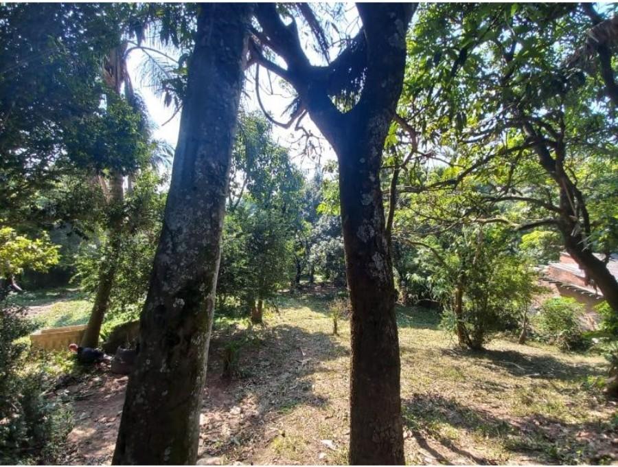 Terreno, 42 hectares - Foto 8